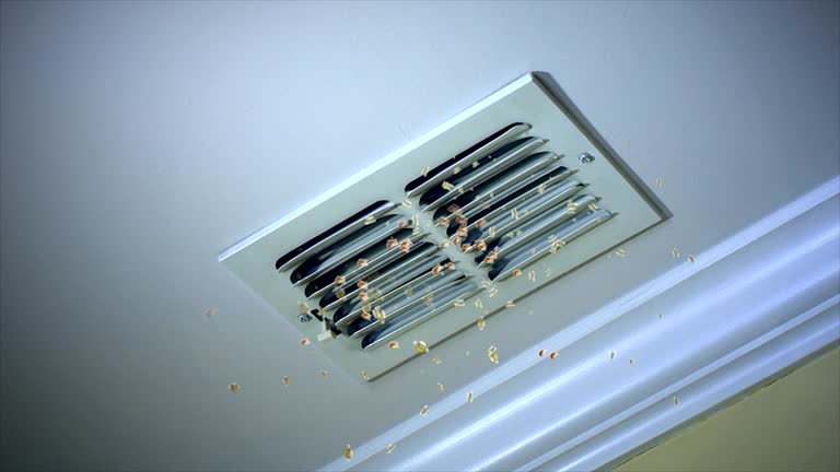 Best Affordable Air Duct Cleaning  in Clinton, NC
