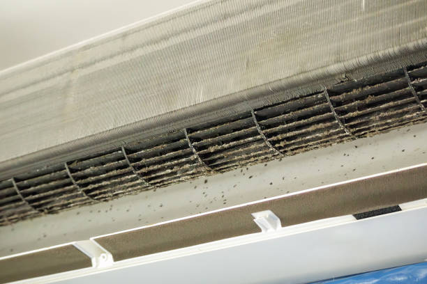 Best Duct Cleaning for Homes  in Clinton, NC